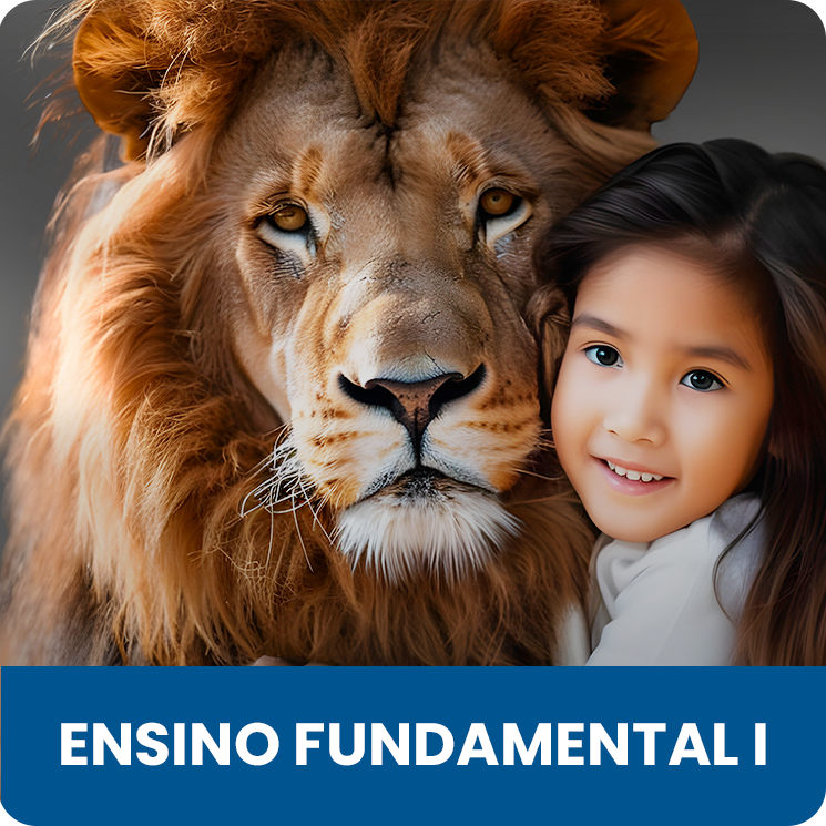 Ensino Fundamental I